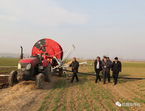 引先进设备之智，擎现代农业之翼 农业机械服务的革新之路