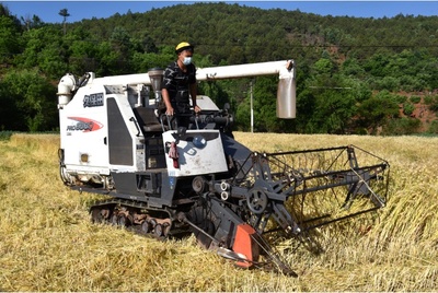 武定县 提升农业机械化服务水平 赋能现代农业高质量发展
