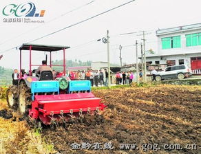 铁牛奔腾绘丰收——农业机械服务助力现代化农业新篇章