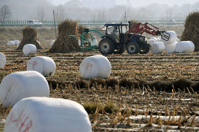 甘肃广河 免费打包秸秆助推“粮改饲” 农业机械服务