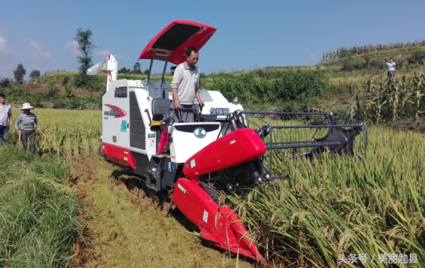 镇川镇安咀村农机服务队助力秋收，提升农业机械化服务水平